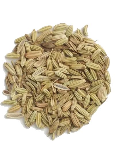 Fennel Seeds – Experts Herbs