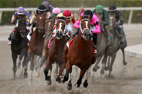 Gulfstream Park Picks & Betting Overview for Memorial Day🕞 Experimente ...