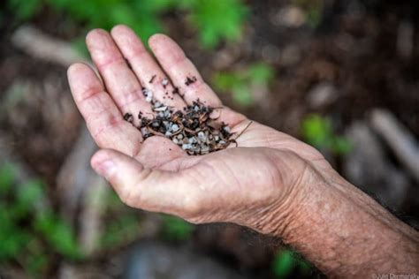 Formosa Plant May Still Be Releasing Plastic Pollution in Texas After ...