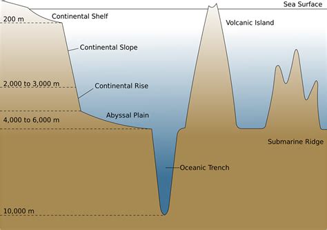 The Sea Floor ~ Learning Geology