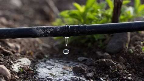 Gravity Fed Drip Irrigation System