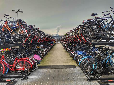 Interesting and fun facts about bicycles in Amsterdam – Velosock Bike ...