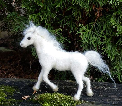 Baby white horse | Flickr - Photo Sharing!