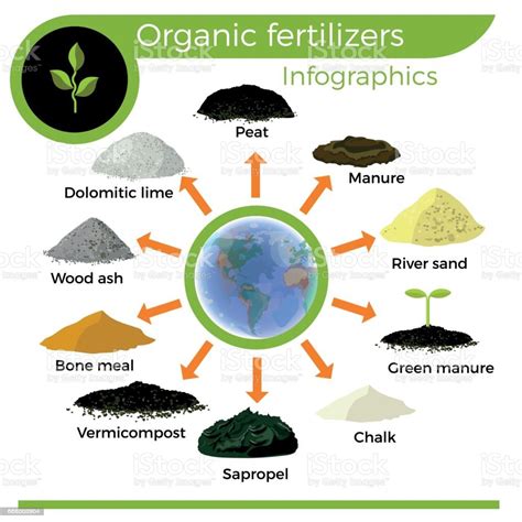 Vector organic fertilizers. Infographics | Organic fertilizer, Image ...