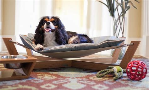 21 Creative Dog Beds Ideas To Get Inspired