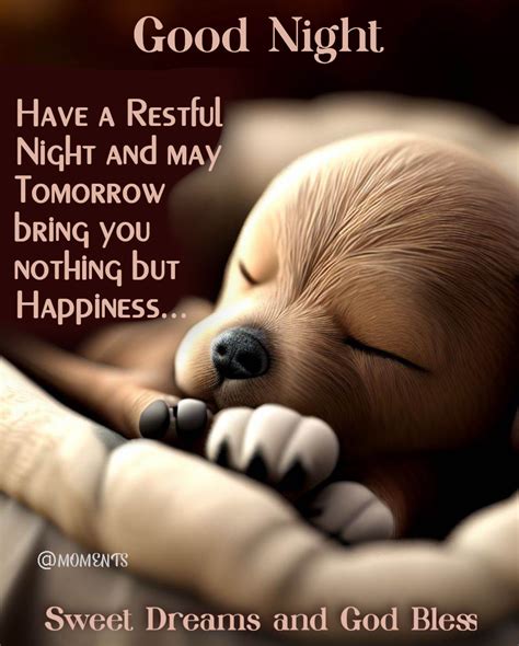 Sleeping Puppy - Good Night And Have A Restful Night Pictures, Photos, and Images for Facebook ...