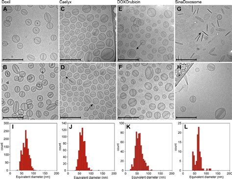 Cryo-TEM analysis of four liposomal doxorubicin formulations. Cryo-TEM ...