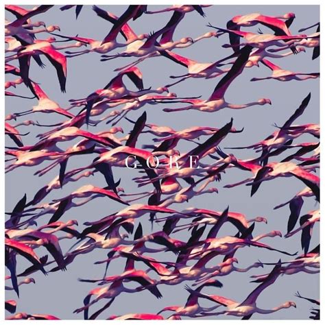 Review: Gore // Deftones // Audioxide