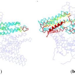 The slowest mode of vinculin structure (PDB ID: 1TR2, chain A). D2 and... | Download Scientific ...