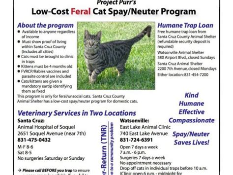 Project Purr EXTENDS FREE Feral Cat SPAY/NEUTER through October ...