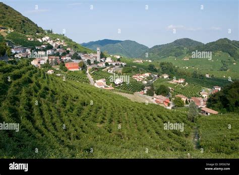 Italy, Valdobbiadene, Santo Stefano area, vineyards Stock Photo - Alamy