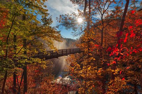 Fall Colors in Georgia 2024: When and Where To Get the Best Views