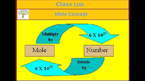 Mole Concept class 11 - YouTube