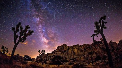 Joshua Tree Milky Way 2024 - Liuka Prissie