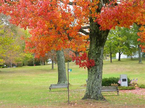 Harvard, Mass. - Quaint. Traditional. Small Town New England.