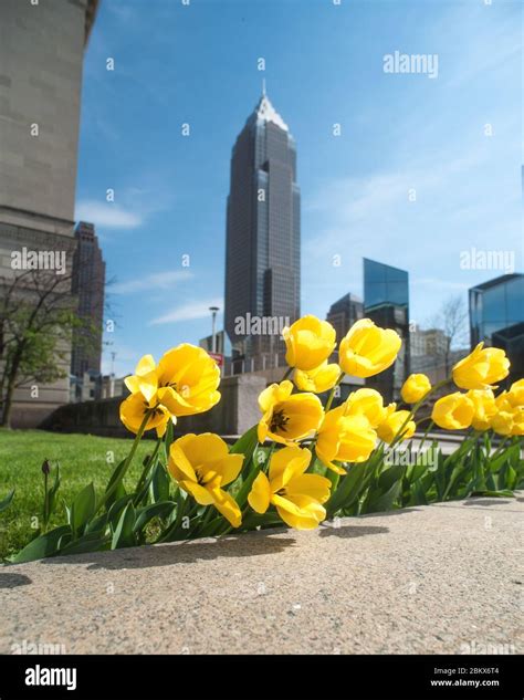 Cleveland Ohio Skyline Stock Photo - Alamy