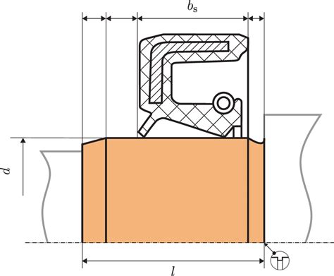 Schematic representation of shaft section “Radial shaft seal” with one ...