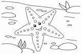 Sea Star Coloring Page  Free Printable Pages sketch template