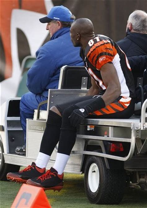 Bengals put Terrell Owens on season-ending injured reserve after Birmingham surgery - al.com