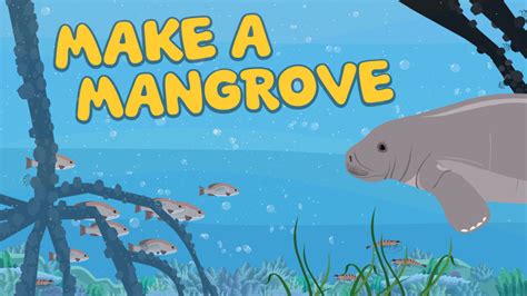 Plum Landing : Make a Mangrove -- An Ecosystem Game