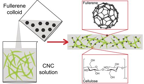 Applications Of Nanocellulose/nanocarbon Composites: Focus On Biotechnology And Medicine ...