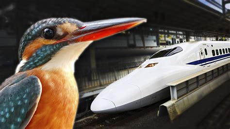 4 Incredible Technologies Inspired by Animals | Animals, Biomimicry examples, The incredibles