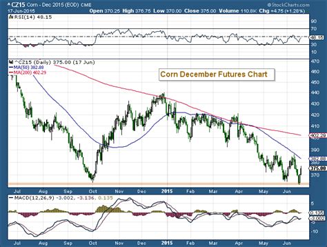 Corn Prices Rally After Retesting 2014 Lows - See It Market