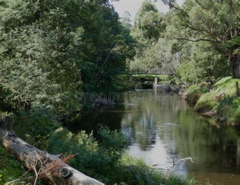 Trestle Bridge Crosse Over the Yarra River in Warburton in the Upper ...