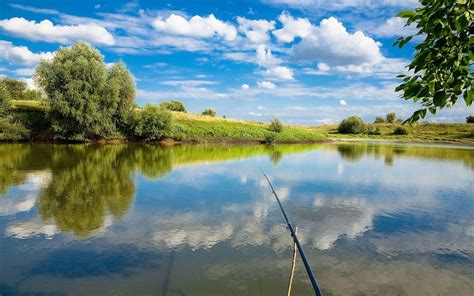 Fishing Desktop Wallpapers - Top Free Fishing Desktop Backgrounds ...