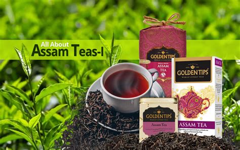 Assam Tea: History, Taste, and Commonly Asked Questions – Golden Tips