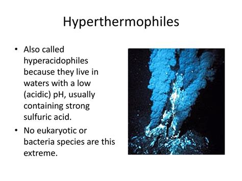 Prokaryotic Team Extreme - ppt download