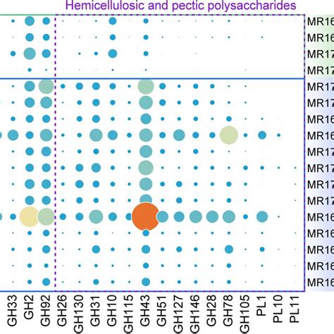 Metagenome-derived relative abundance (16S rRNA gene) of Bacteroidetes... | Download Scientific ...