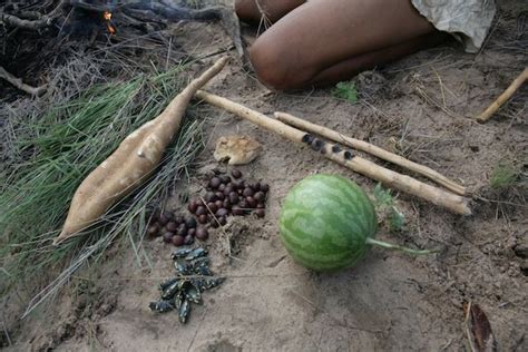 SAN PEOPLE TRADITIONAL FOOD IN THE MORNING - : Yahoo Image Search Results | Traditional food ...