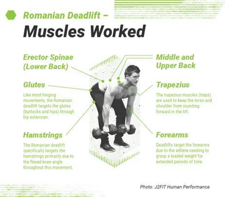 Db Rdl Form This Is How Db Rdl Form Will Look Like In 7 Years Time - AH ...