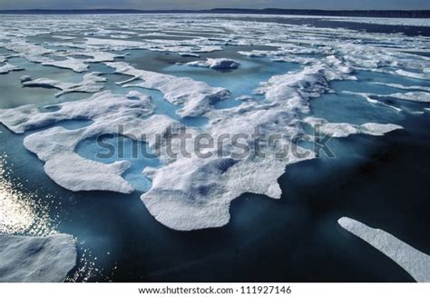 48,563 Banks Island Images, Stock Photos & Vectors | Shutterstock