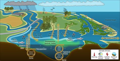 DCERP - Ecosystem Modules - Aquatic/Estuarine | Ecosystems, Aquatic ecosystem, Watersheds