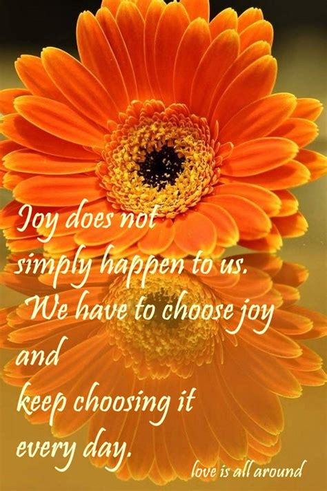 Joy is Who I Am. So I keep choosing the connection with my Inner Beings ...