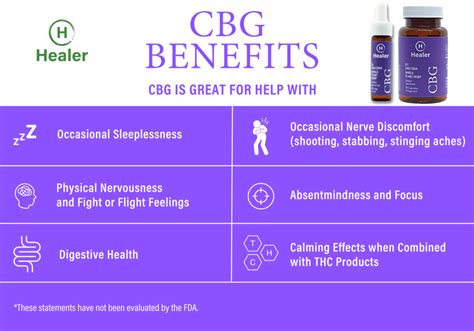 The Differences Between CBG vs CBD – Healer