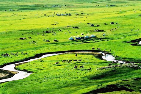 Inner Mongolia Grasslands: Top 10 Prairies in Inner Mongolia