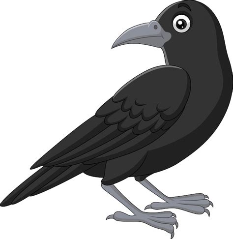 Cartoon crow isolated on white | Premium Vector