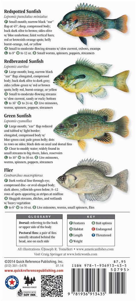 Freshwater Fishes of Louisiana – Quick Reference Publishing Retail