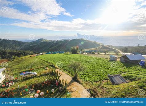 Phu Thap Boek, Phetchabun Province, Thailand Stock Photo - Image of forest, mist: 67676874