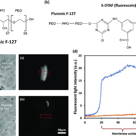 Interactions of Pluronic F-127 molecules with DCM and GTCM. (a ...