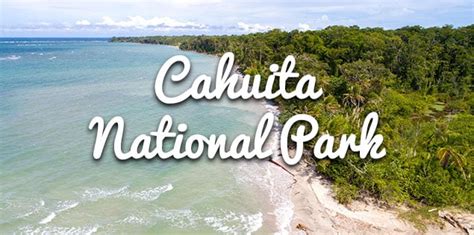 Cahuita National Park Costa Rica Mytanfeet Visitor's Guide