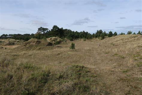 Sand dunes at East Hills © Hugh Venables :: Geograph Britain and Ireland