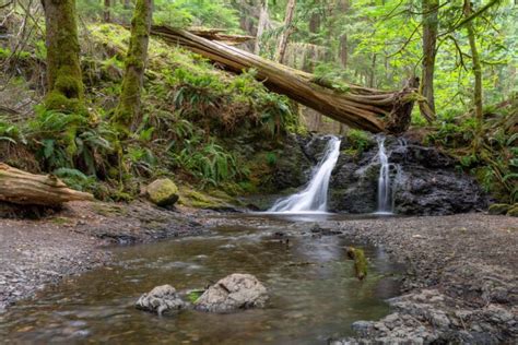 5 Amazing Hikes On Orcas Island: A Complete Hiking Guide