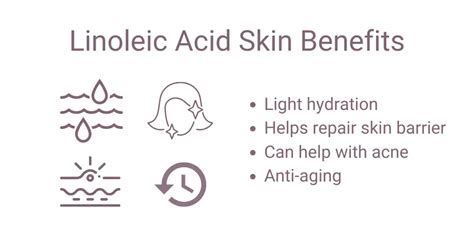 Linoleic Acid vs. Oleic Acid - Which Is Better? | Skincare Lab