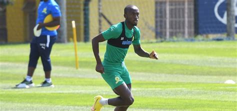 Mamelodi Sundowns receive major Peter Shalulile boost | FARPost