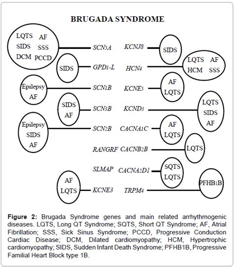 genetic-syndromes-gene-therapy-Brugada-Syndrome