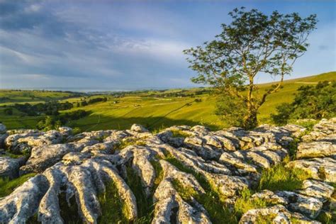 Malham Cove, Limestone Pavement Canvas Prints, Yorkshire Dales